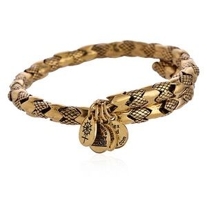 Alex n Ani Gold Snake Charm Bracelet Brand New